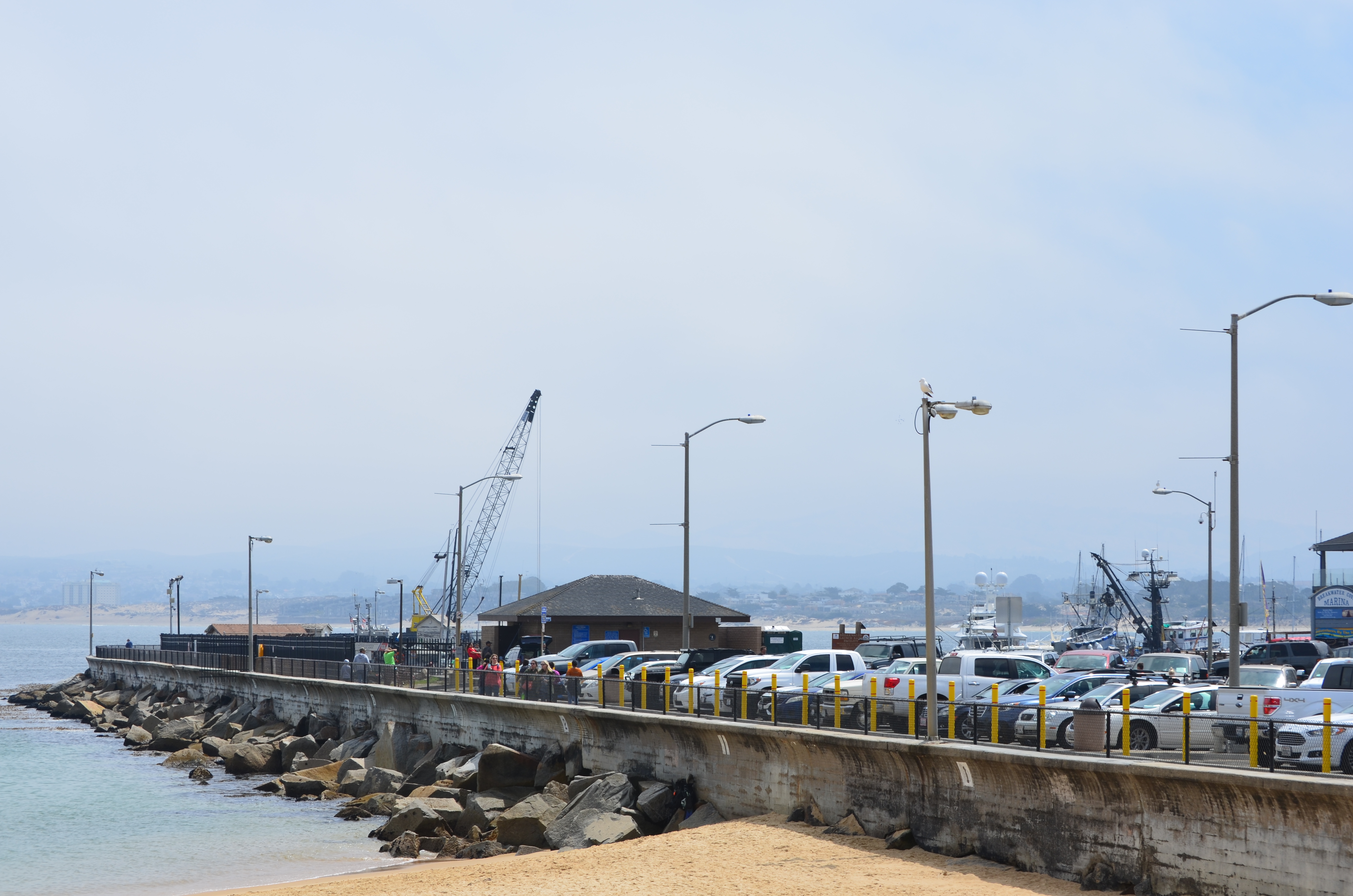 ./2018/09 - San Francisco/ASC_0515.JPG